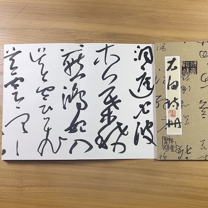 书法中书协老师书法作品