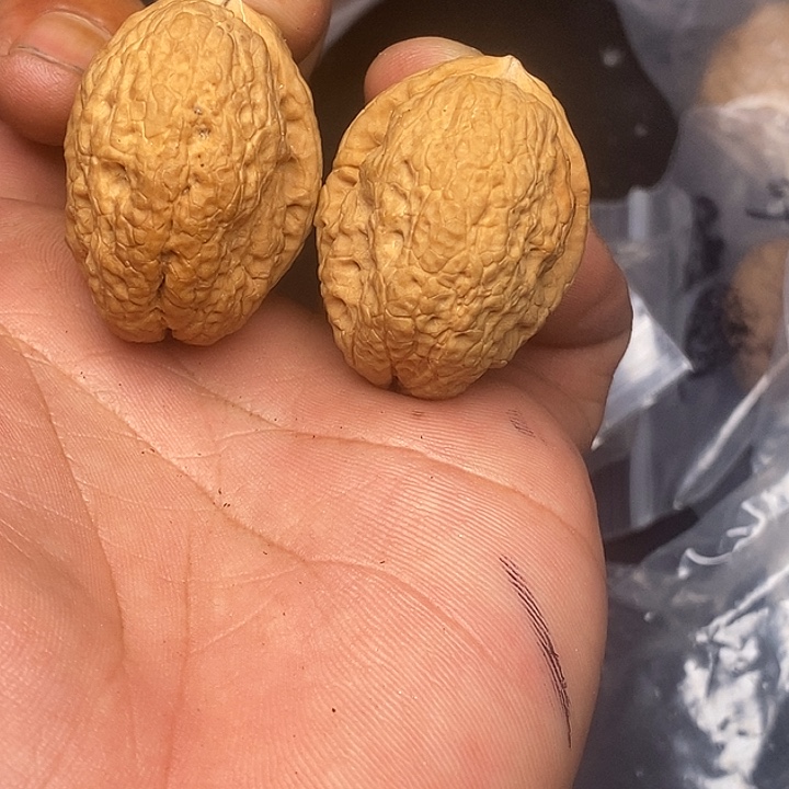 吊坠文玩核桃        106