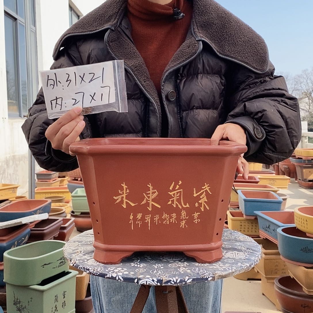 紫砂花盆紫砂花盆