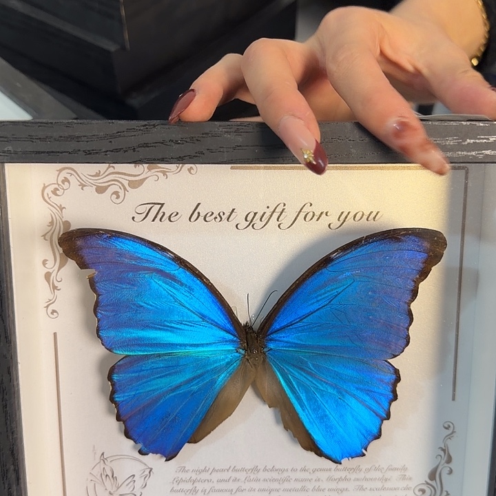 385蝴蝶蝴蝶蝴蝶蝴蝶蝴蝶