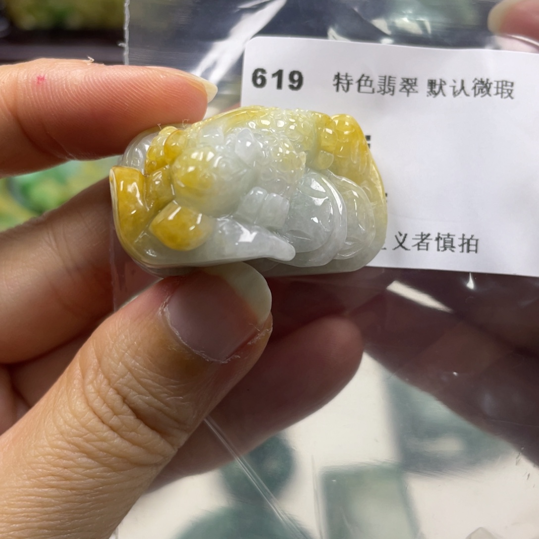 翡翠未镶嵌颈饰牌子