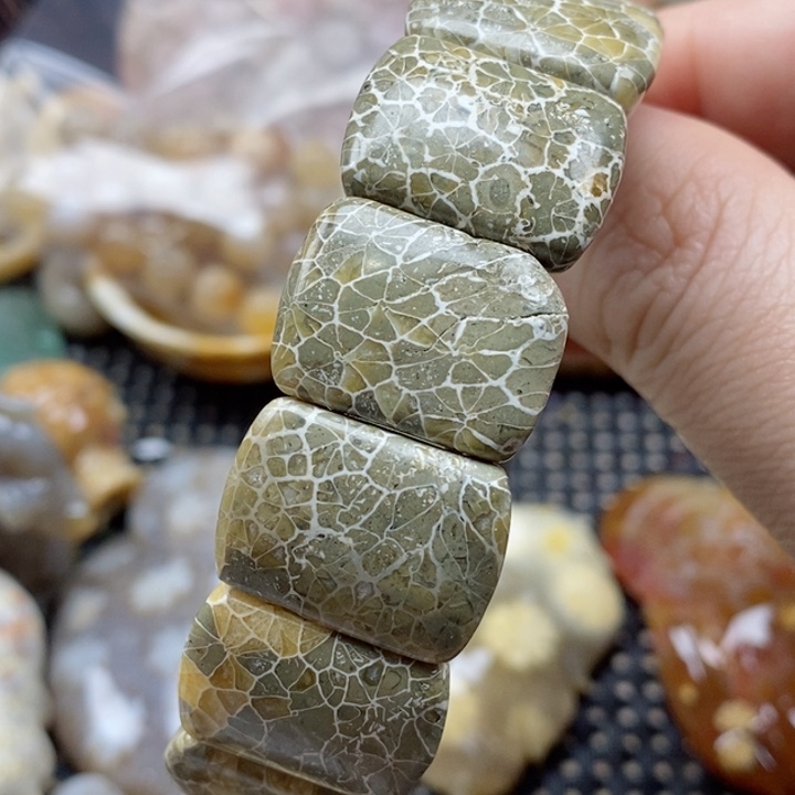 硅化珊瑚（珊瑚玉）颈饰未镶嵌
