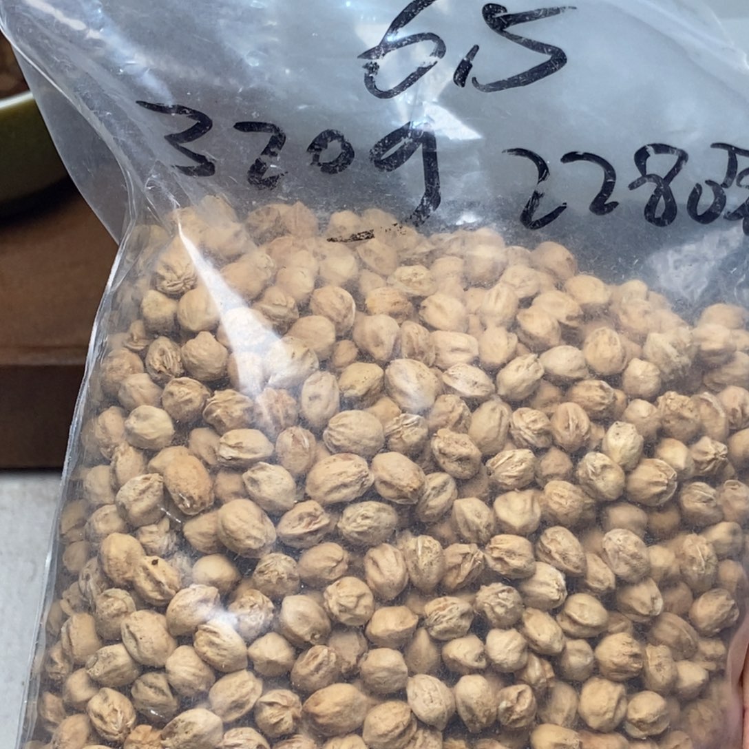 柏香籽/百香籽吊坠