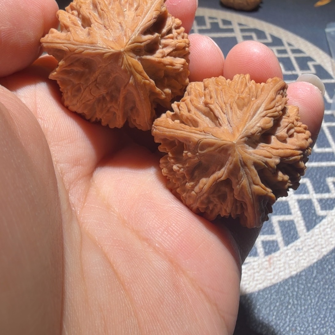 文玩核桃把件御龙正奔