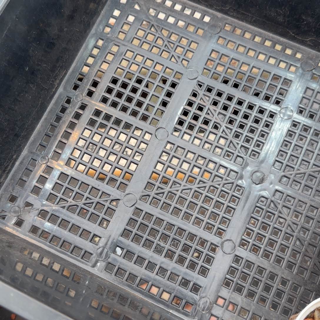 框拍框拍0209-117盲拍16颗冰淇淋不售后