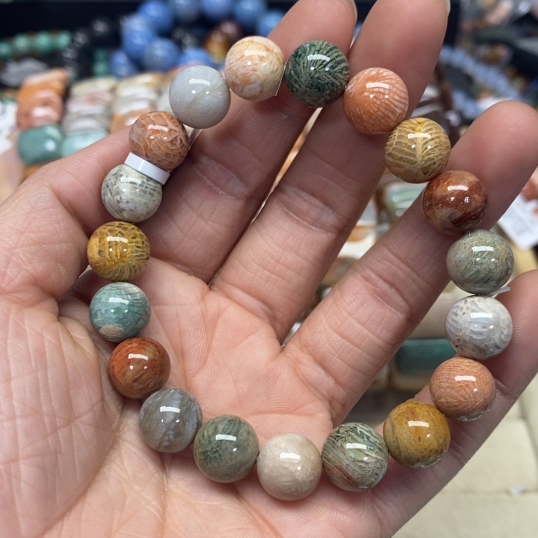 硅化珊瑚（珊瑚玉）手链未镶嵌大****纲069