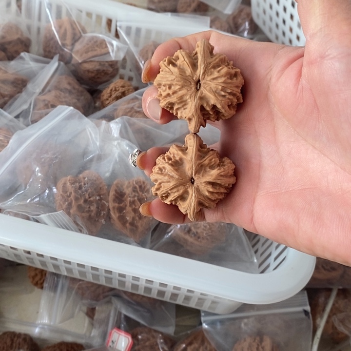 ?****y盘龙虎头盘龙虎头