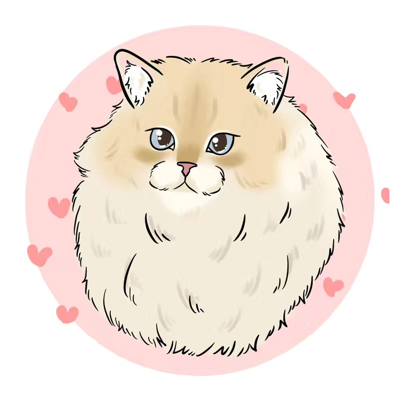 【直播配货专享】100代125宠物用品