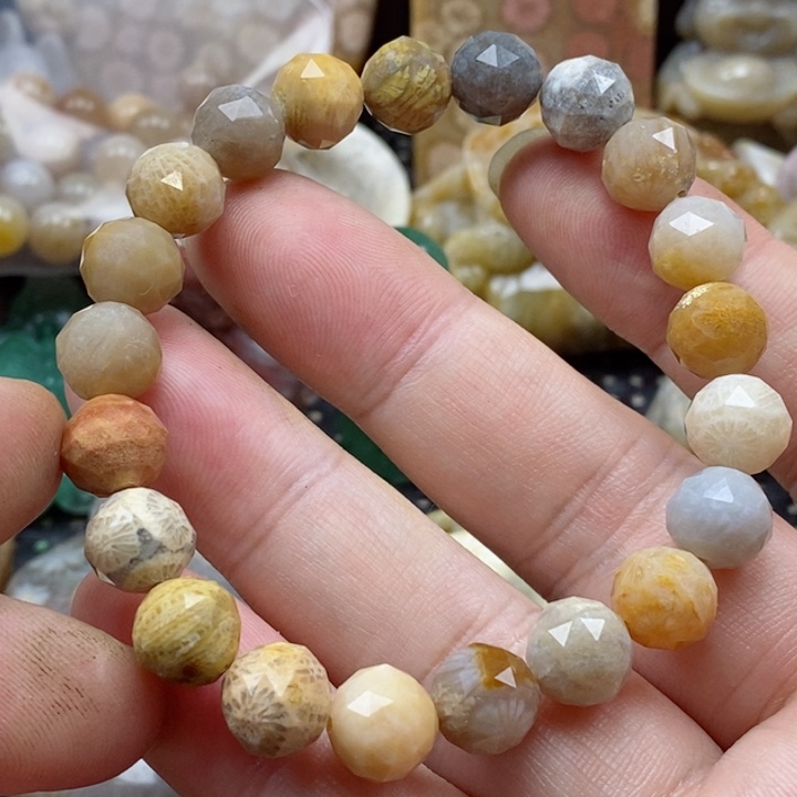 硅化珊瑚（珊瑚玉）颈饰未镶嵌