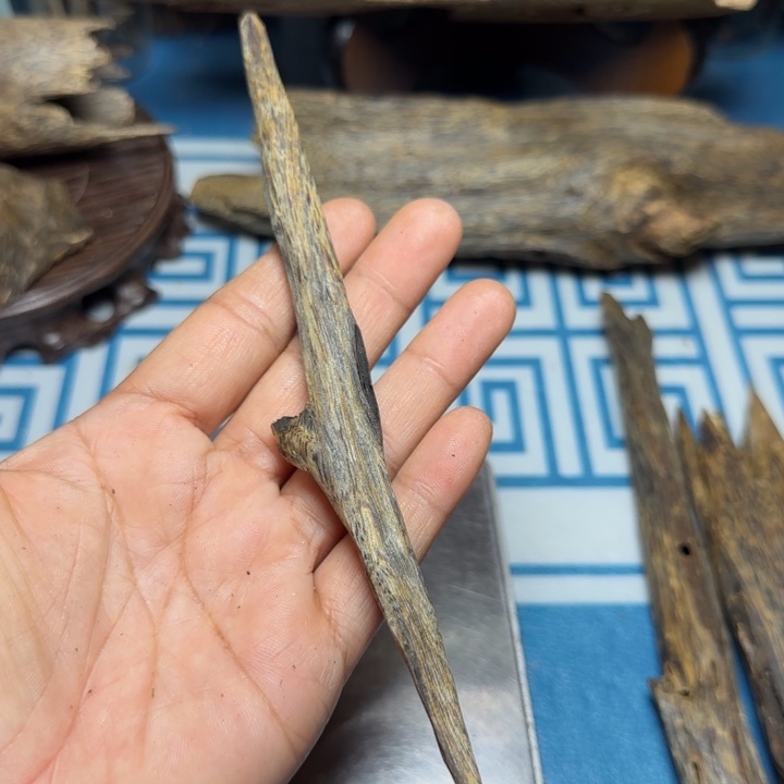 香粉母树绿奇陆河树心油10克