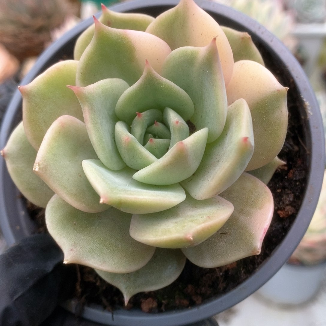 024贝加尔湖锦锦锦锦锦