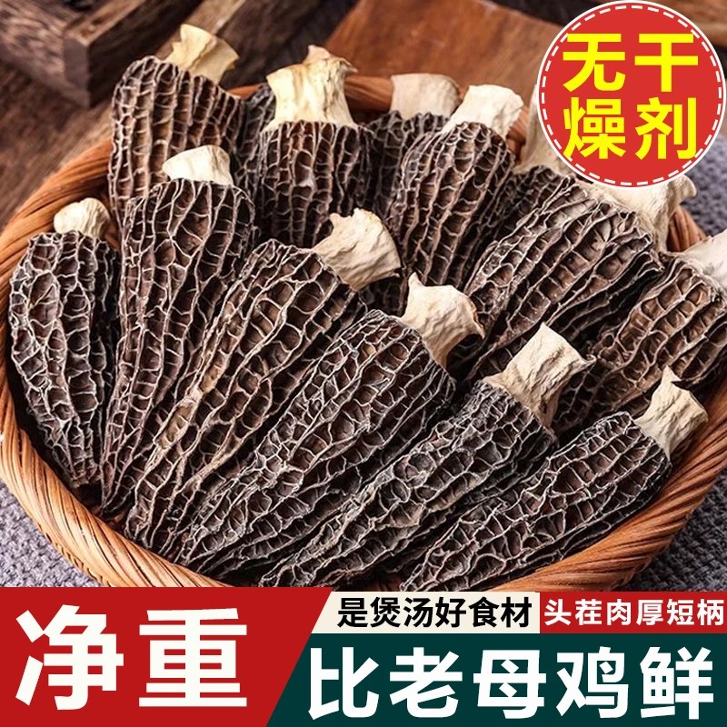 【新货上市】羊肚菌干货头茬炖汤菌菇煲汤干货美味