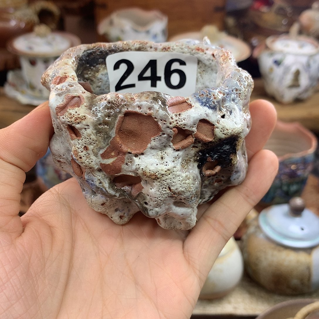 山***色杨树手作树洞主人杯