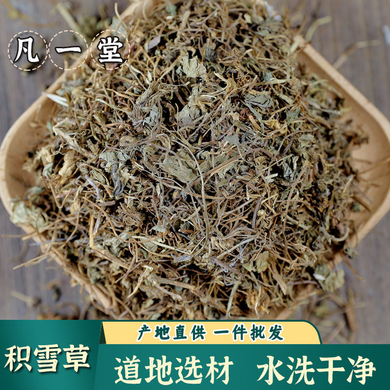 积雪草 崩大碗 雷公根 天胡荽落得打满天星 可搭益母草