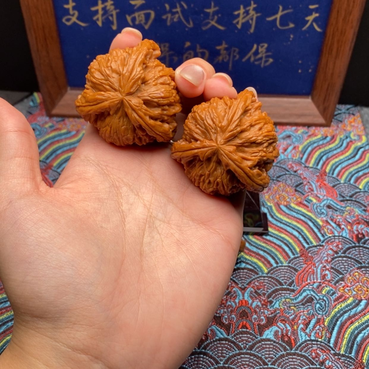 【闪购商品】攀*白狮