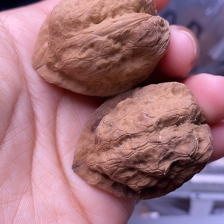 文玩核桃吊坠   32