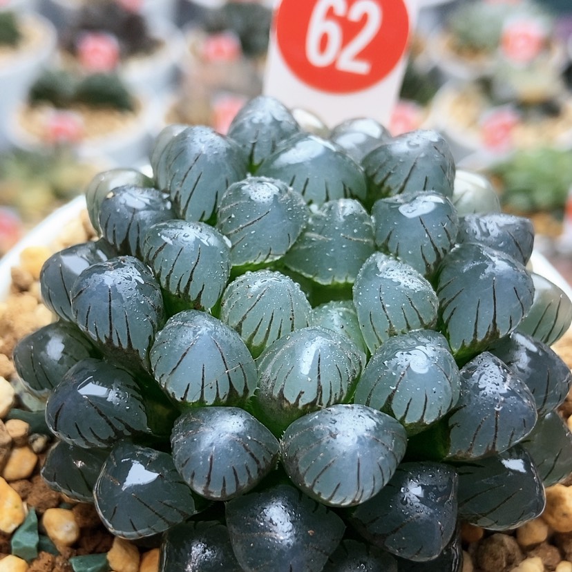 【闪购商品】冰灯62