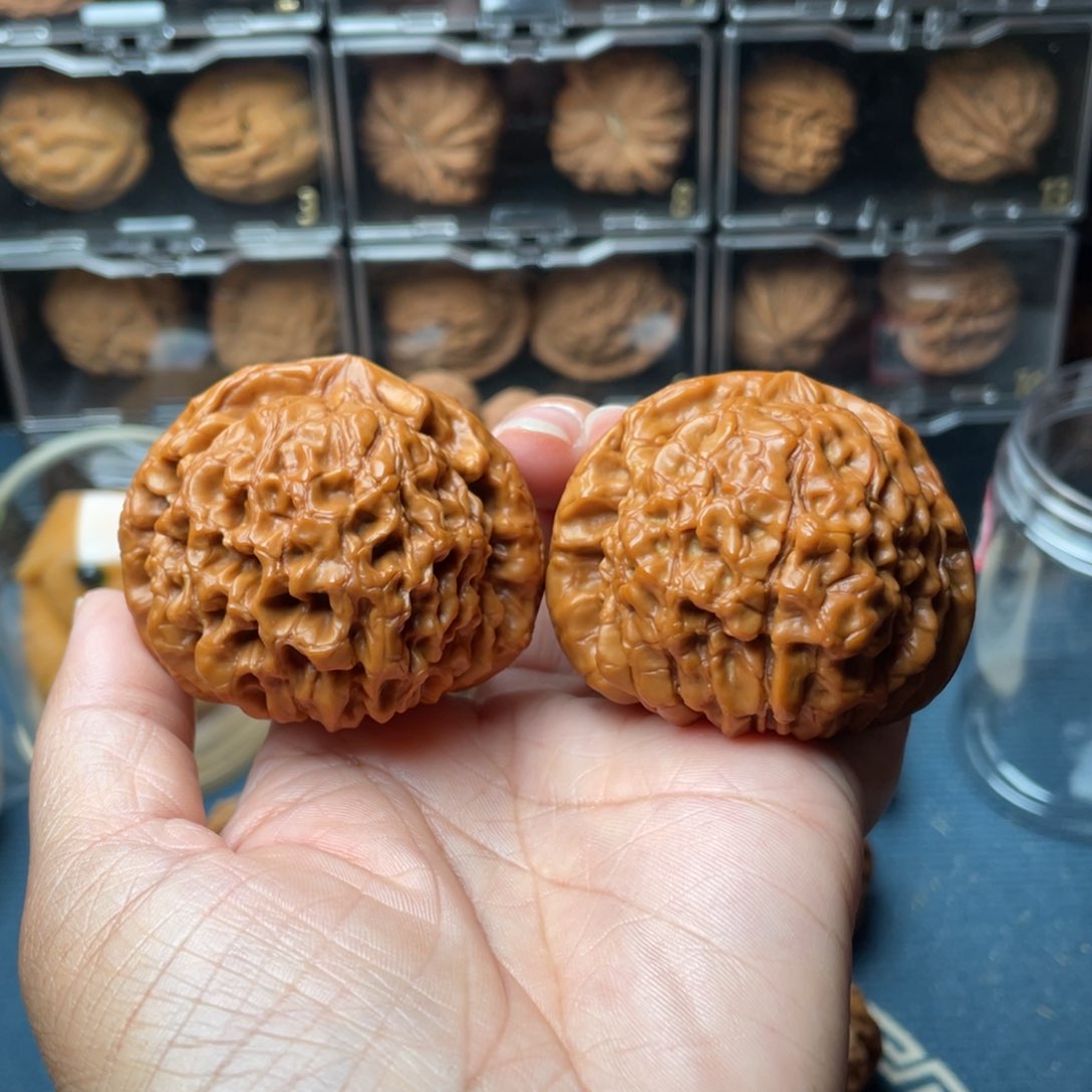 文玩核桃把件52+龙鼎