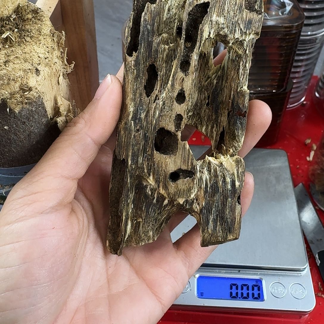 香料绿奇楠虫漏张勺子23克