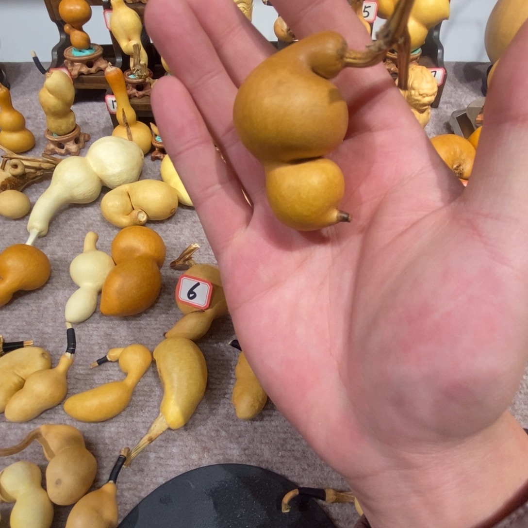 胜***利Aaaaaaaawwwwwwwdddsssssesss