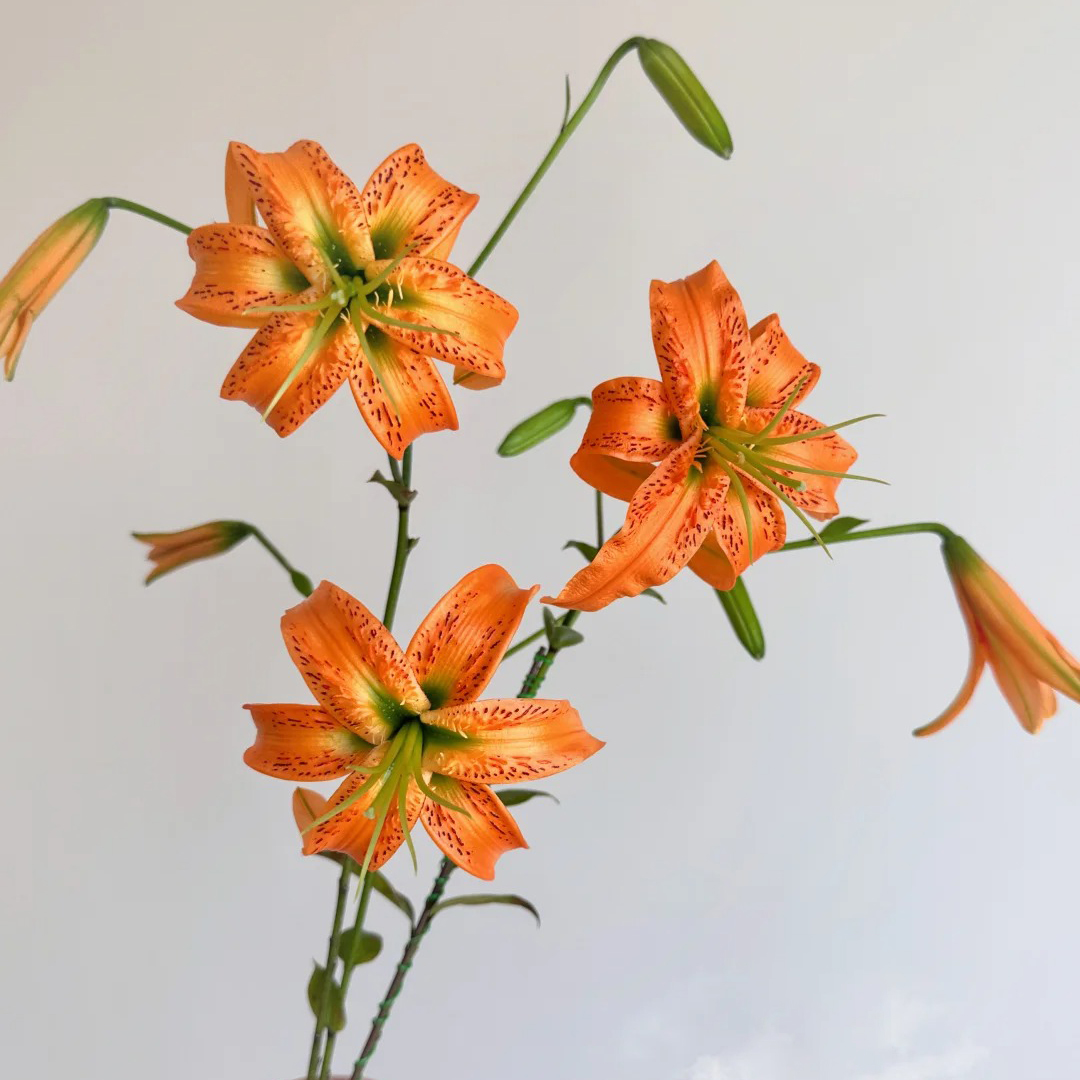 云花巷【亨利-无香亚百合】百合鲜花优选顺丰基地直发