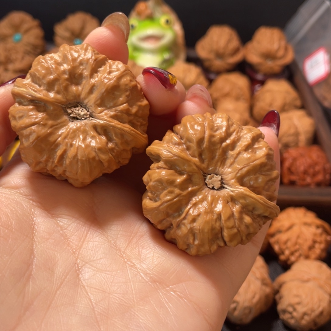 ─***⌵核桃手串/手链蛤蟆43