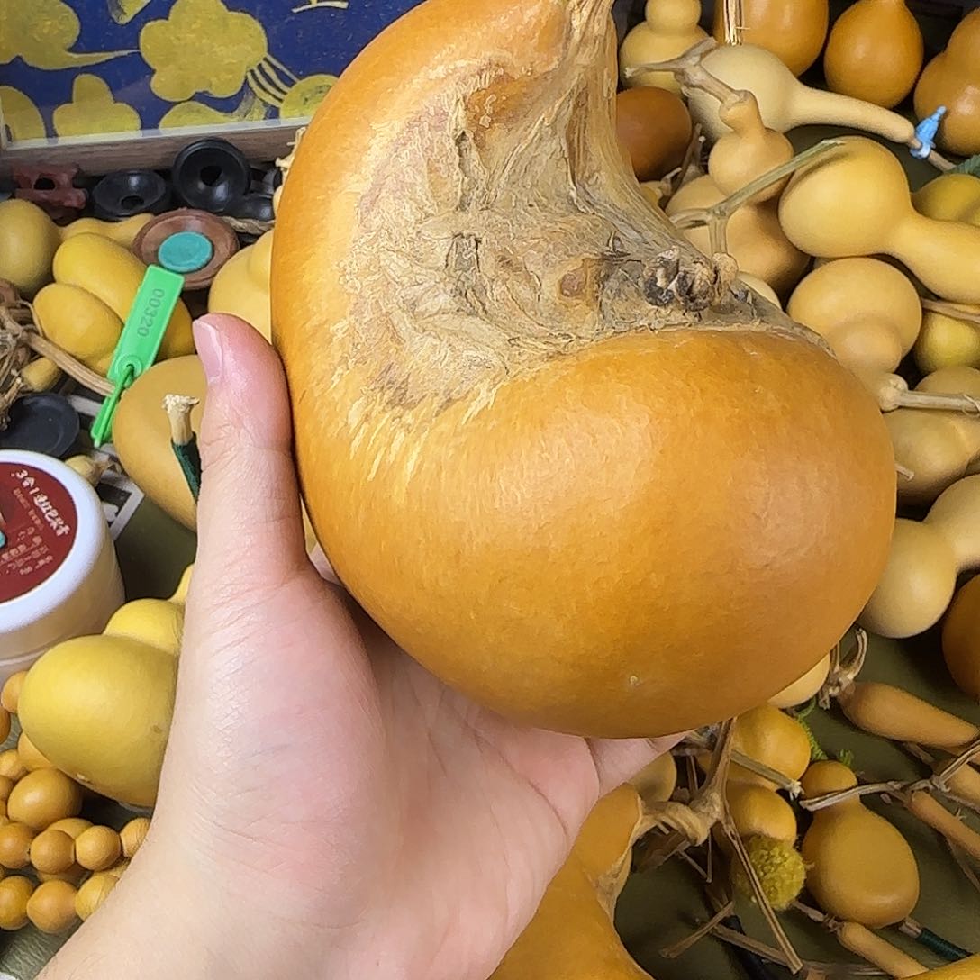 覓**軒shshshshsbshshhhb