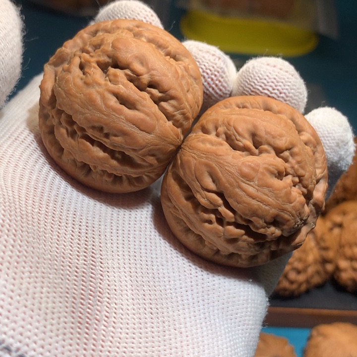 文玩核桃把件用****742霸王龙