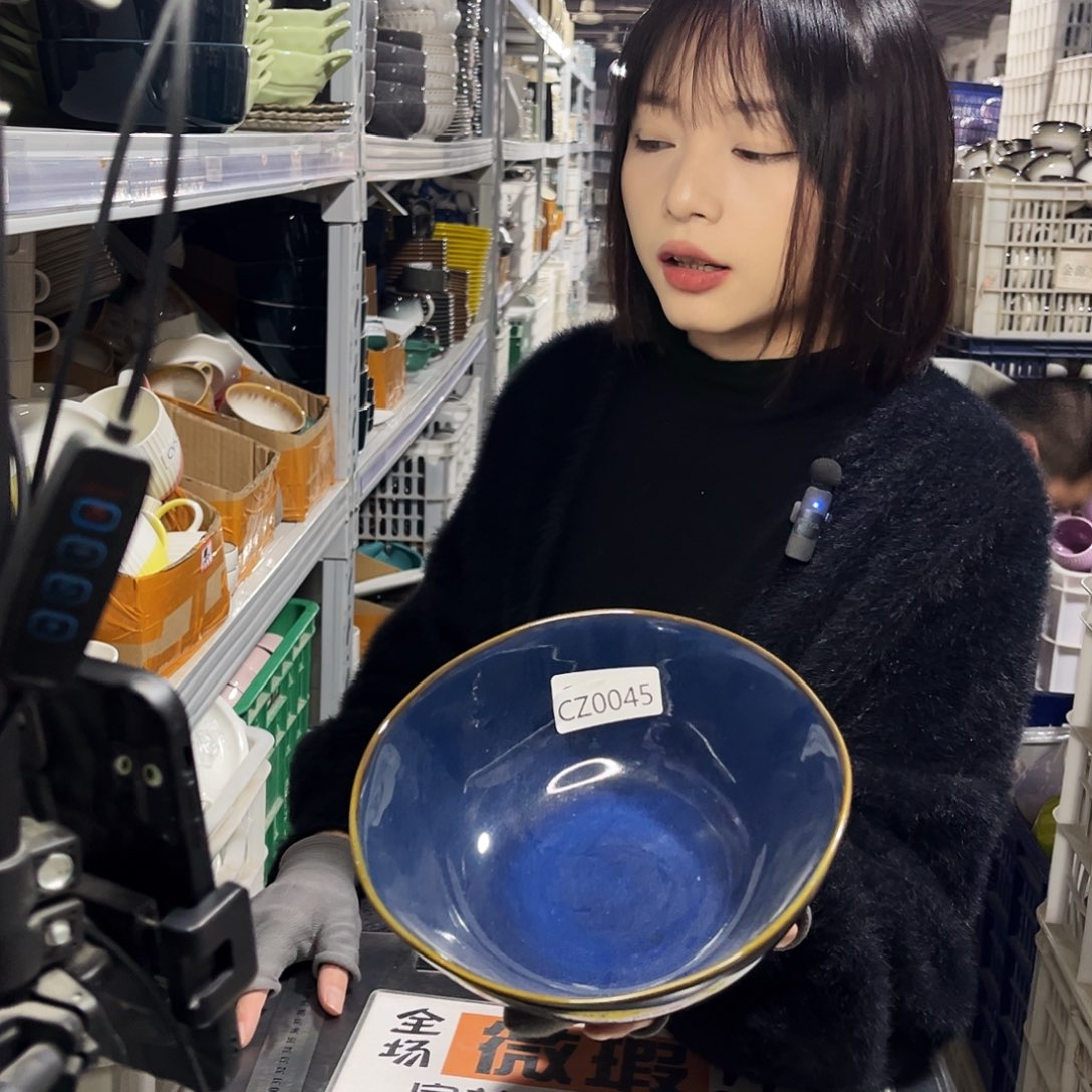 瓷片0045。           2个