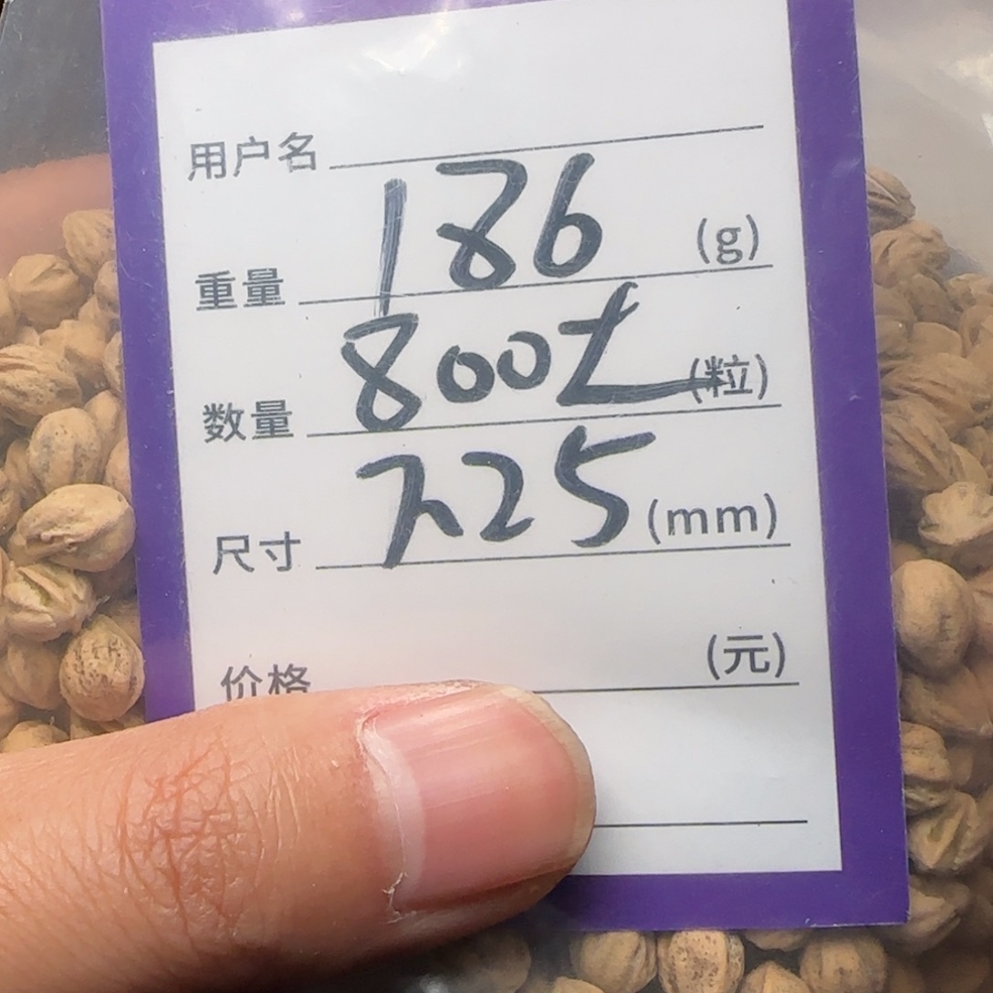 吊坠柏香籽/百香籽