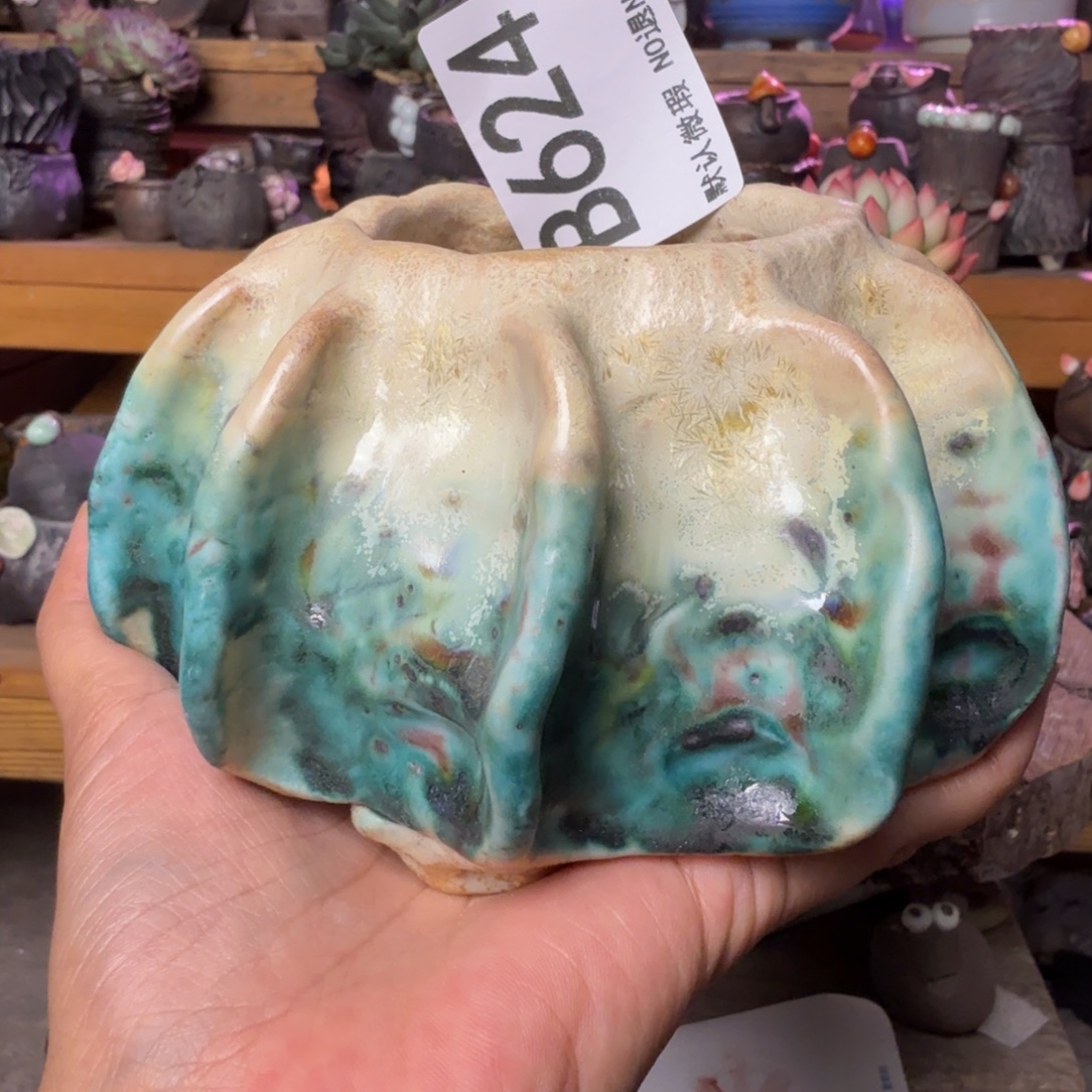 重庆小燕子欢迎大家624