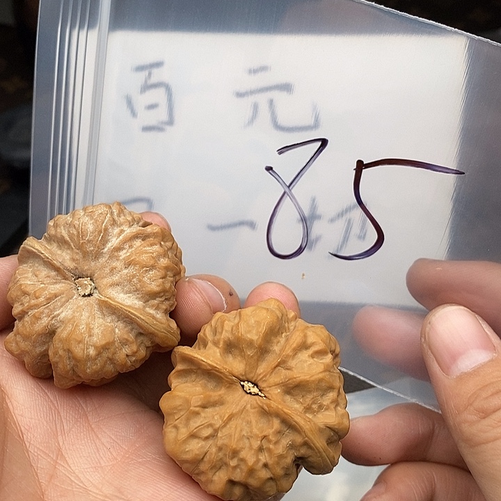 吊坠文玩核桃735735537537537