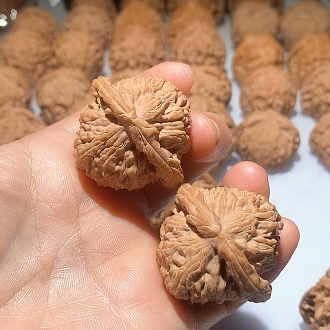 吊坠文玩核桃小****茶白狮子