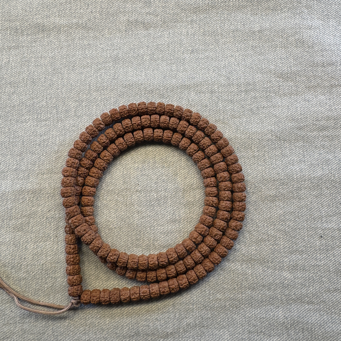 盘龙纹嫁接籽，7.5-7.75mm