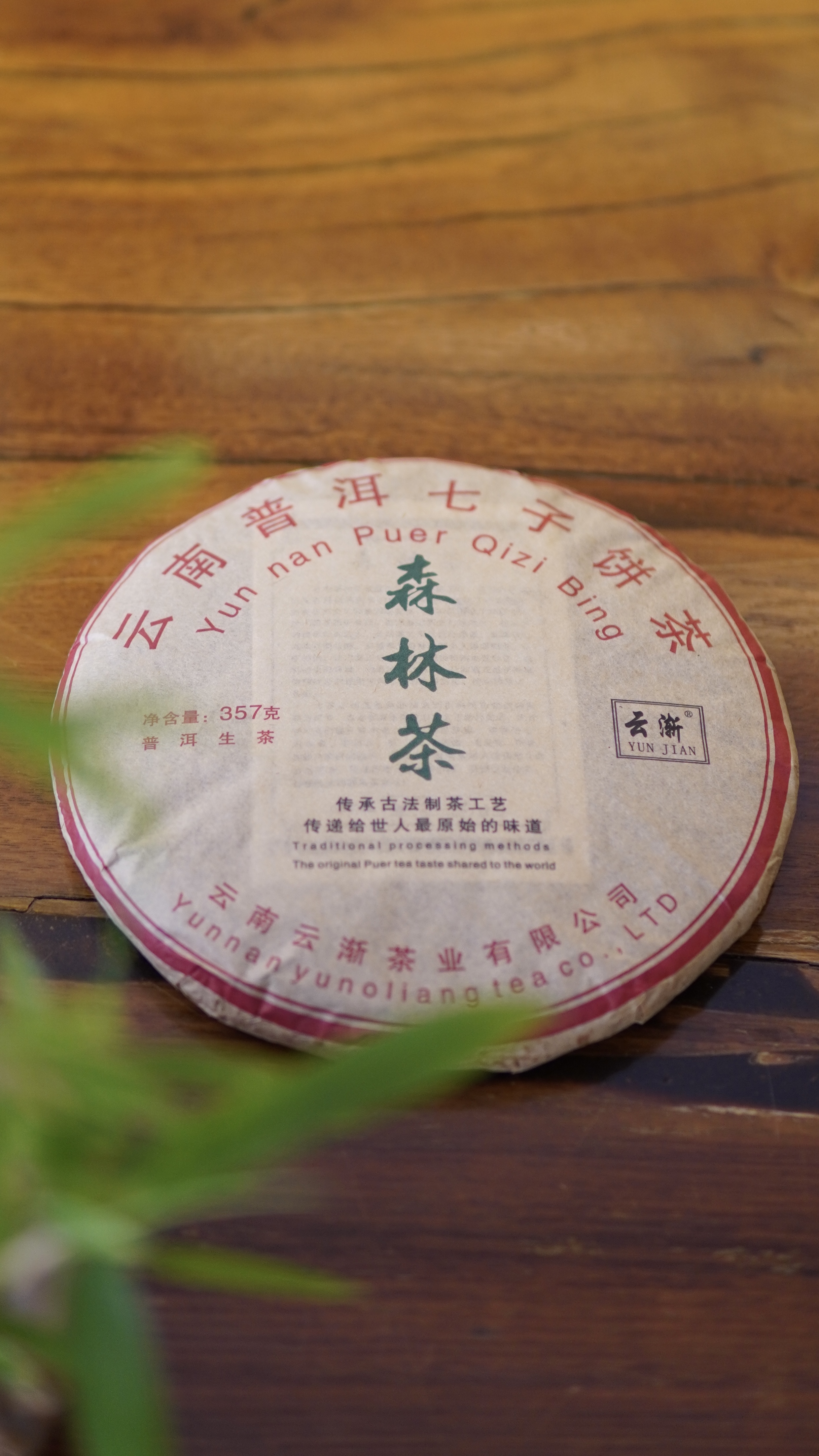 森林茶普洱茶生茶2018年古树茶料入口饱满 茶汤柔和顺滑回甘生津