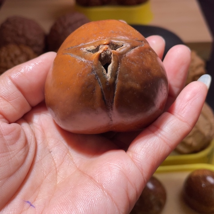 桃核把件橄榄核单只