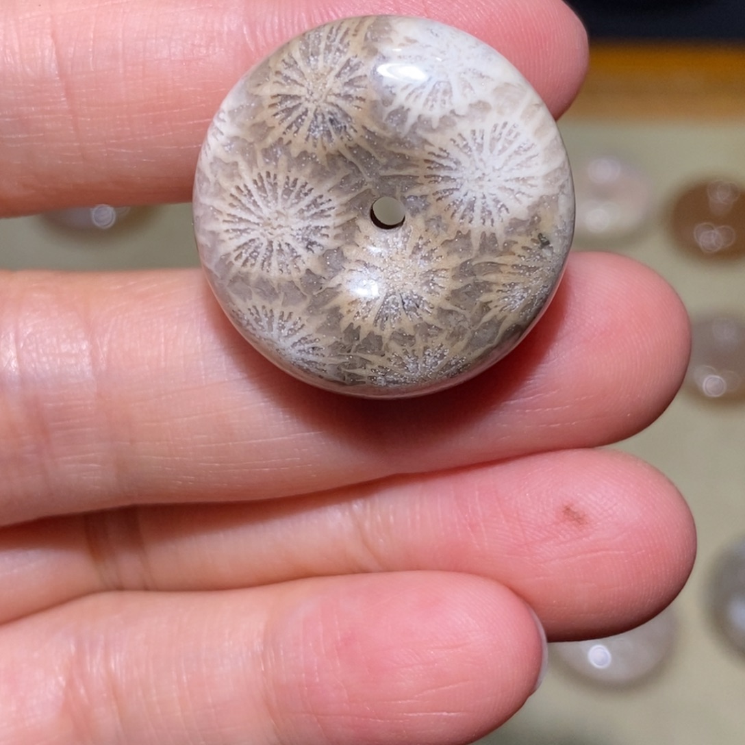 【闪购商品】硅化玉珊瑚玉未镶嵌