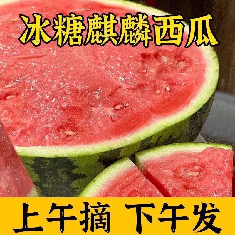 正宗云南麒麟西瓜当季水果甜王西瓜脆甜红瓤有籽无籽随机发8-12斤