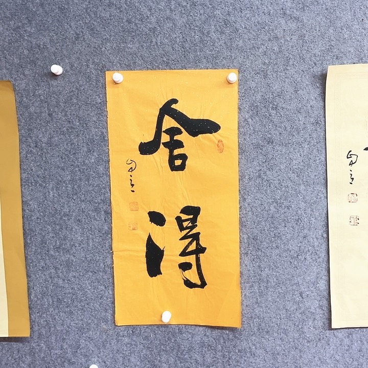 书法舍得书法作品