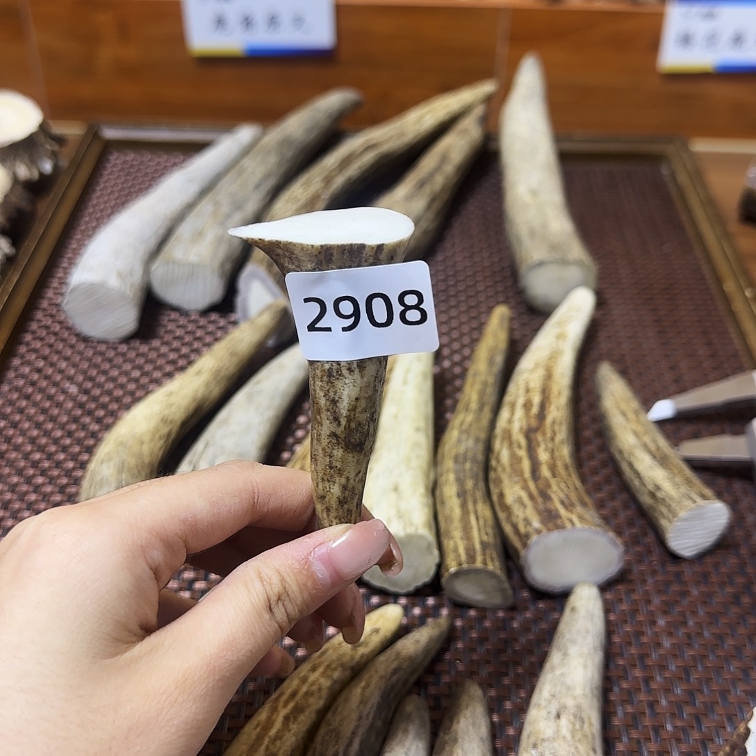 手串/手链鹿骨角尖2908