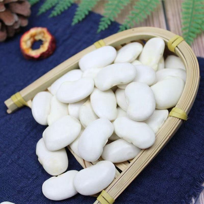 【云】云南好货白芸豆