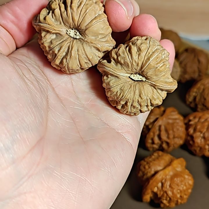 吊坠橄榄核40+全品南瓜墩