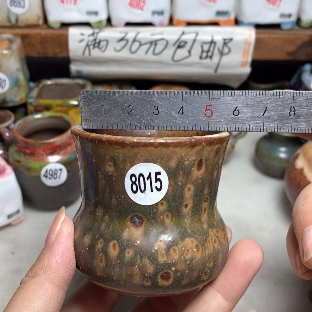 拍5送一个小礼物