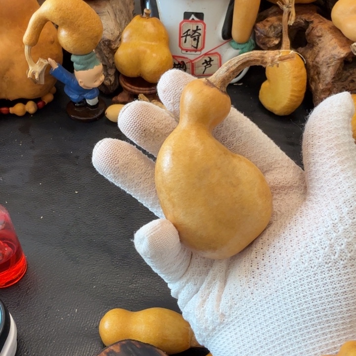 1***道66…………………………………………