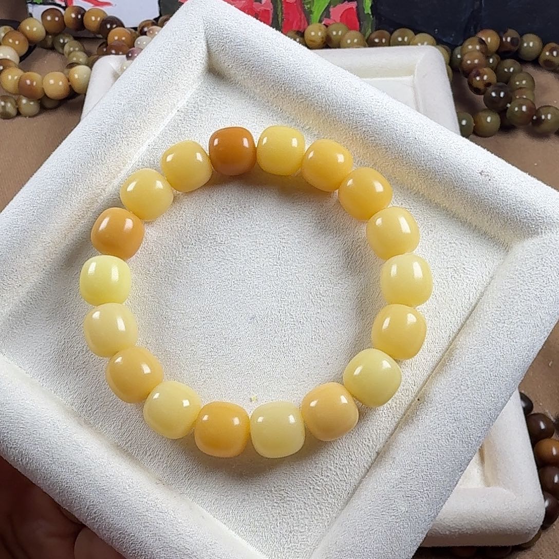 诺***心菩提根/象牙果手串106 五彩缤纷 