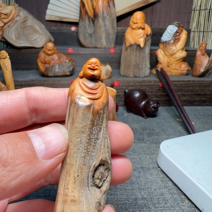 河***部柏木（崖柏）我的小可爱小猫咪