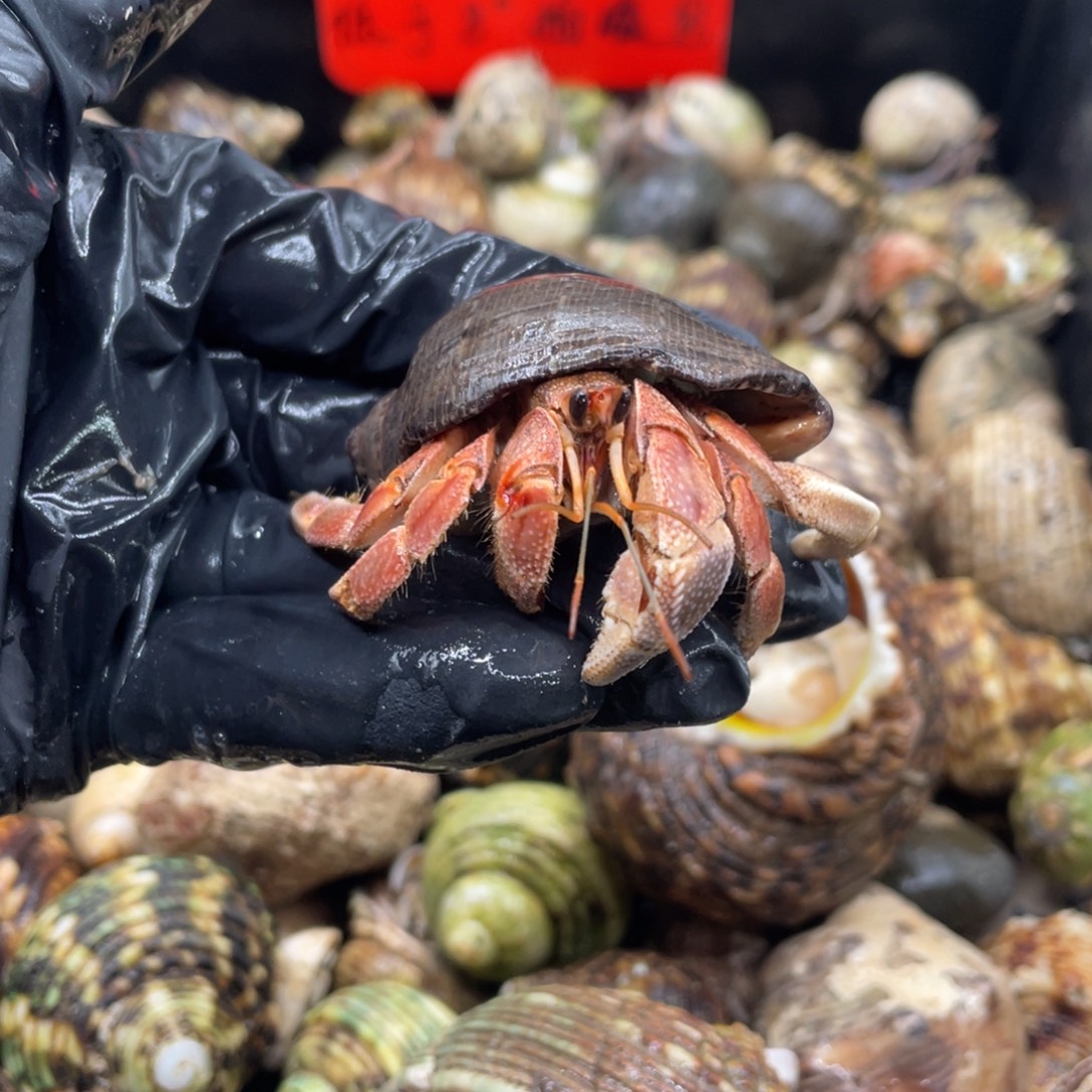 不退不换谢谢支持23