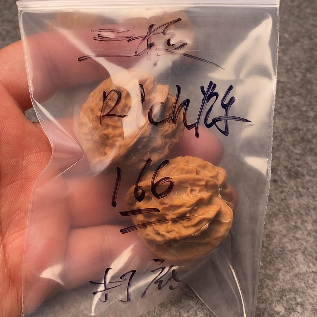 文玩核桃把件R****.三棱