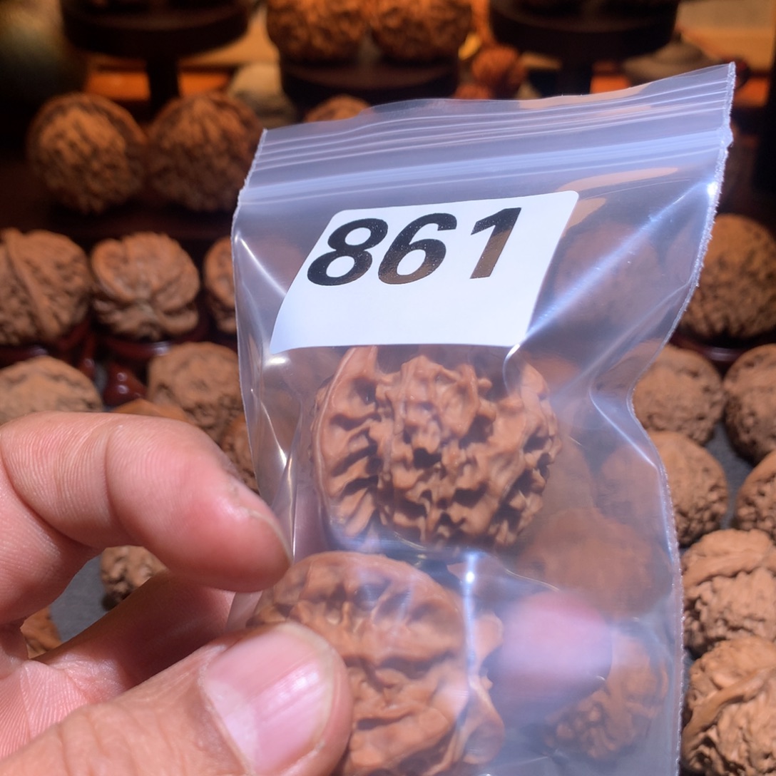 可***湾桃核把件龙鳞861号