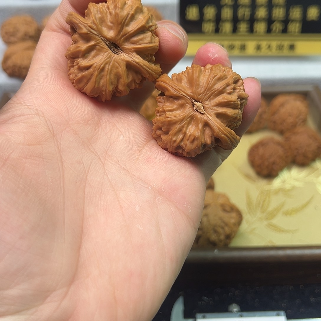 K***y文玩核桃把件全品白狮子